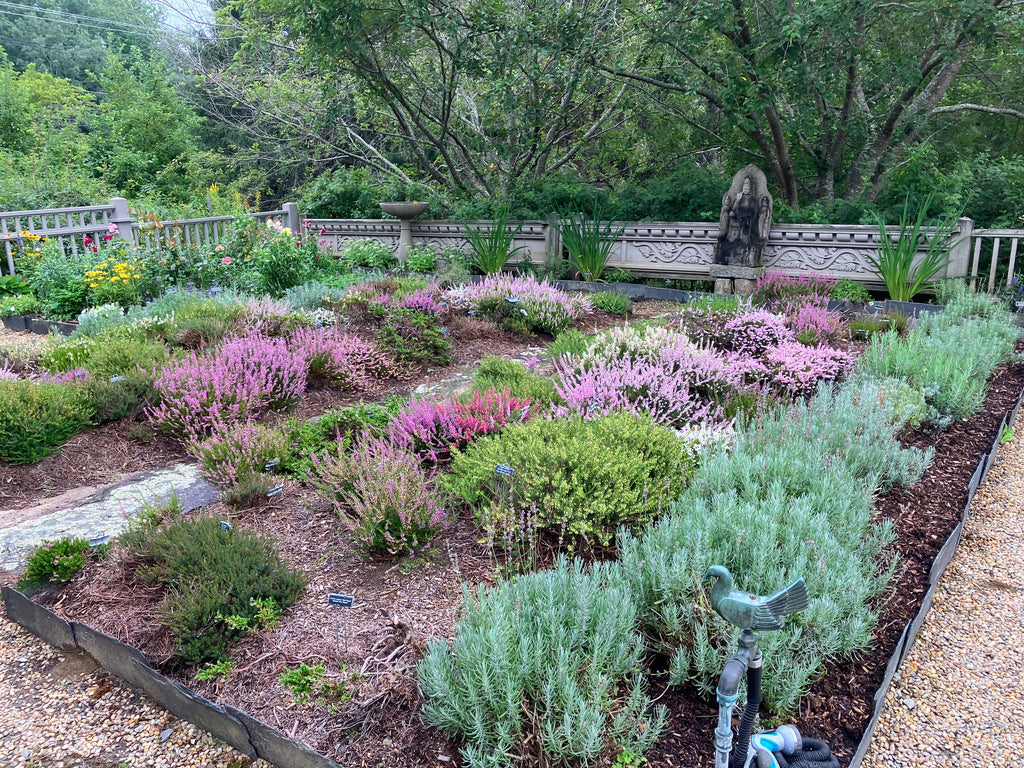 Beatrix Farrand Society Membership, Benefactor