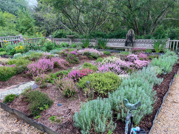 Beatrix Farrand Society Membership, Benefactor